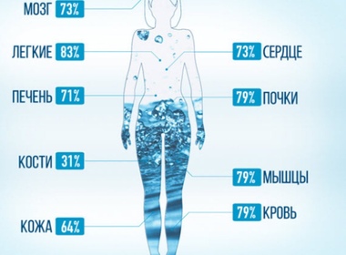 Как вода влияет на энергию и продуктивность