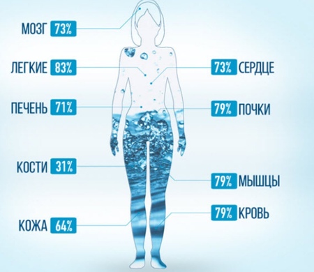 Как вода влияет на энергию и продуктивность