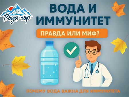 Вода и иммунитет: правда от врачей
