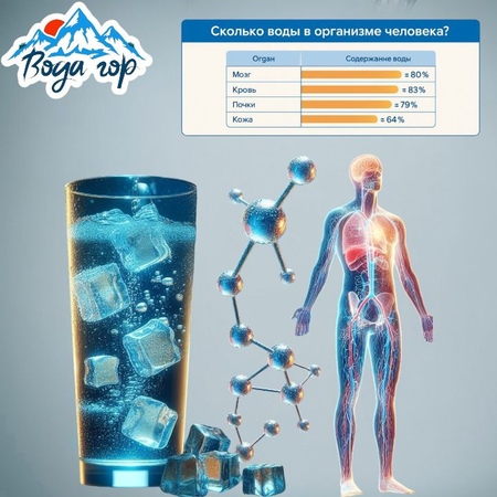 Зачем человеку нужна вода?